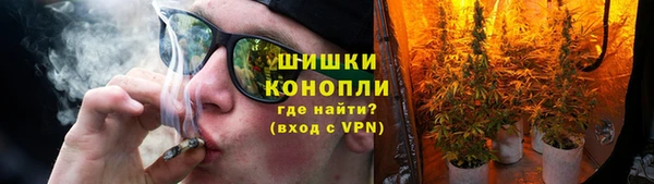 прущие грибы Алексин