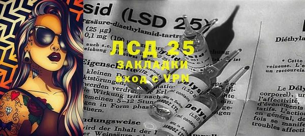 крисы Алзамай