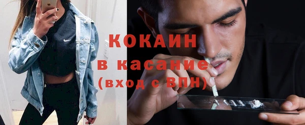 прущие грибы Алексин
