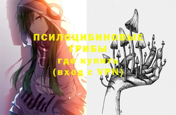 прущие грибы Алексин