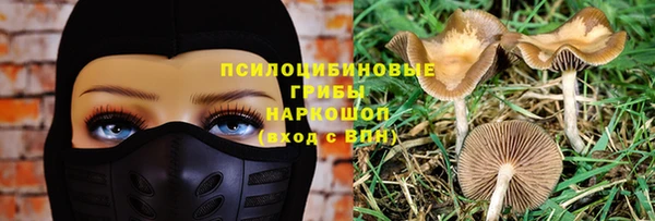 крисы Алзамай