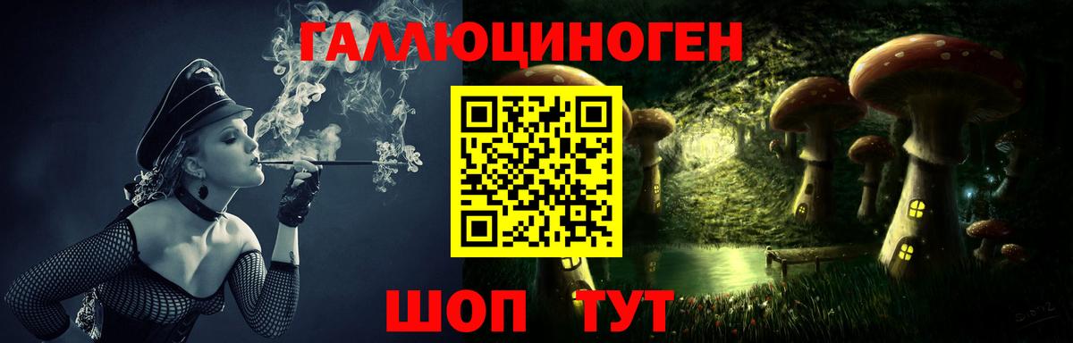 Псилоцибиновые грибы Psilocybe Чапаевск