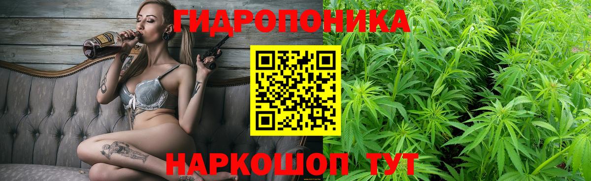 Каннабис сатива Чапаевск